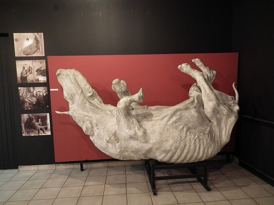 Muzeum Przyrodnicze PAN