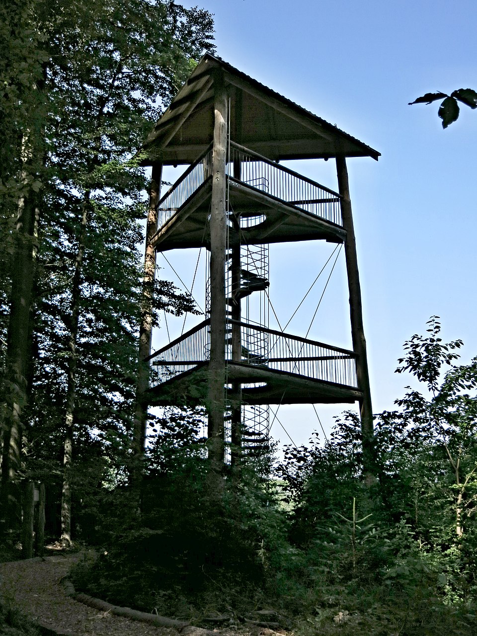 Erlebnisturm Waldpfad Binningen