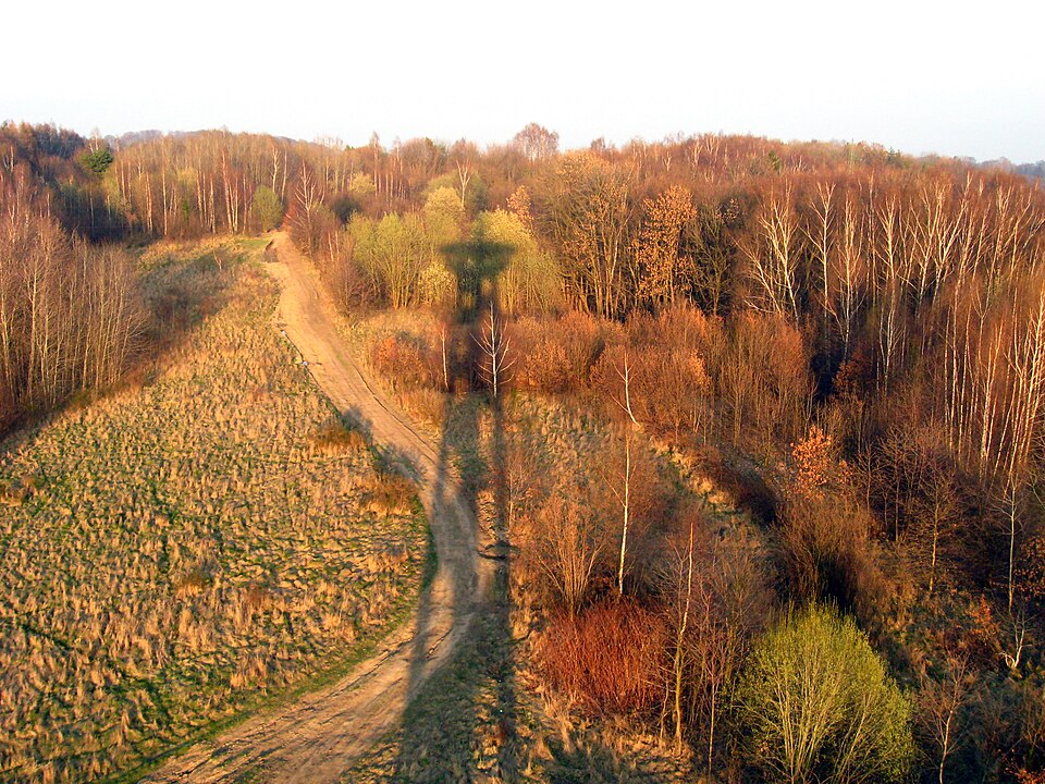 Zespół dworsko-krajobrazowy Kolibki