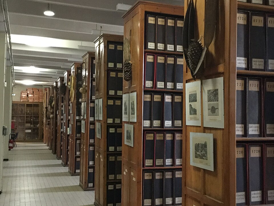 Galerie de Botanique