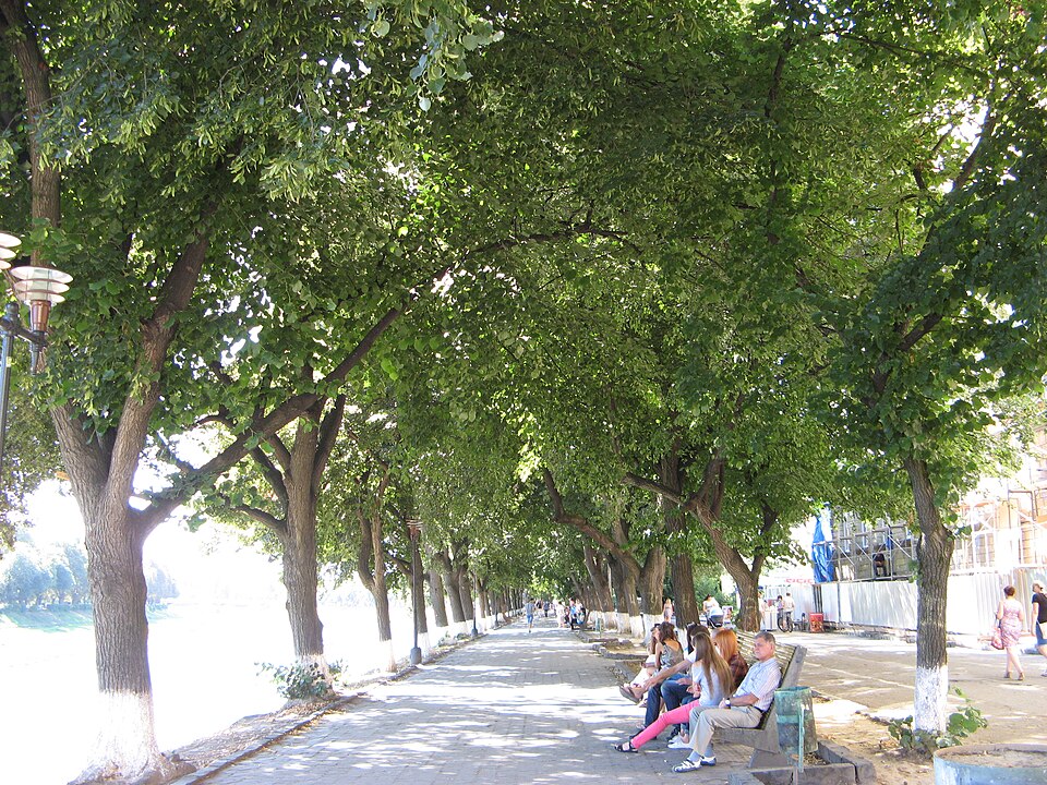 Липова алея