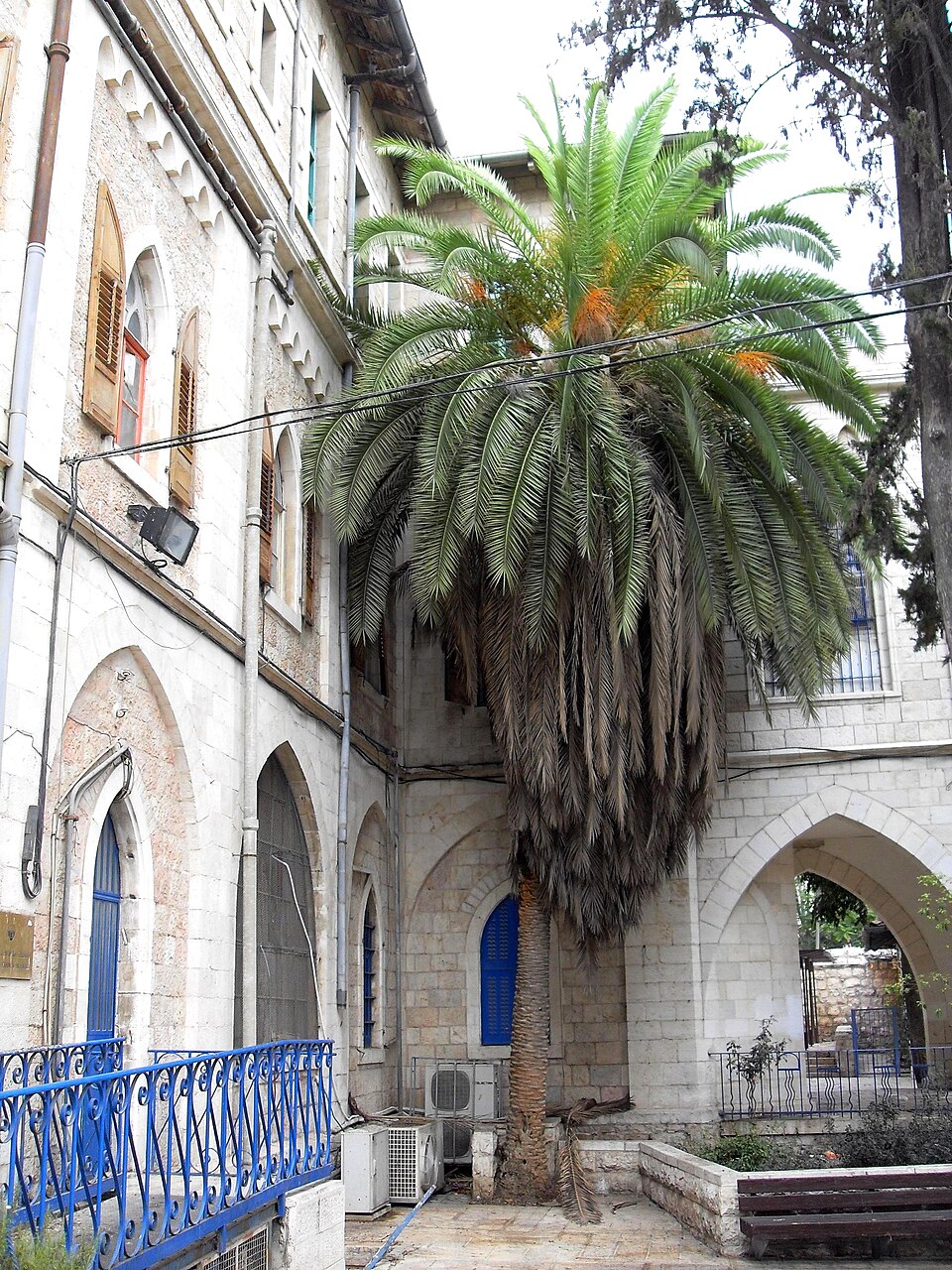 מוזיאון יהדות איטליה