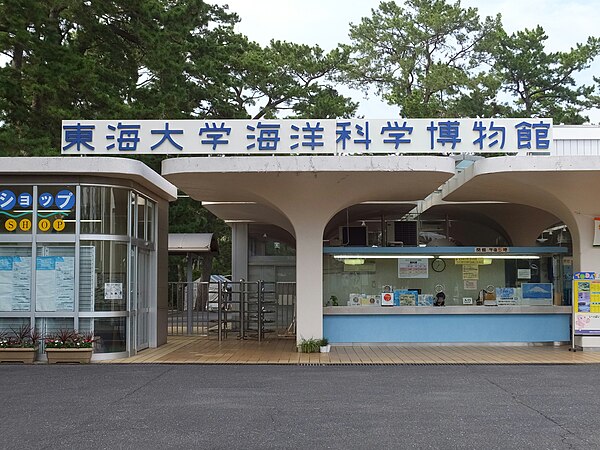 東海大学海洋科学博物館