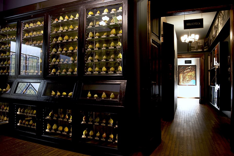 Museo della frutta