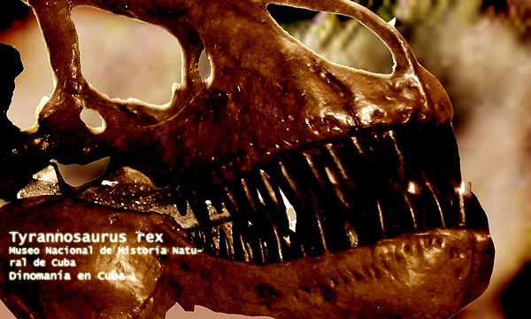 Museo Nacional de Historia Natural