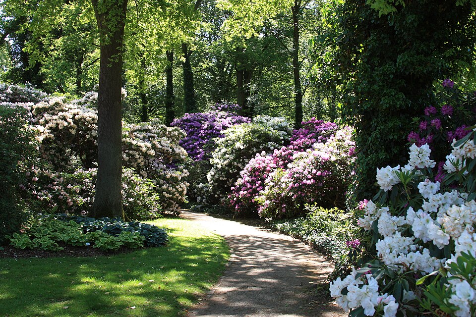 Rhododendronpark