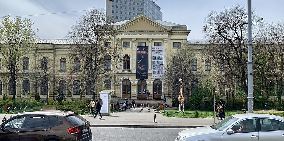 Muzeul Național de Istorie Naturală "Grigore Antipa"