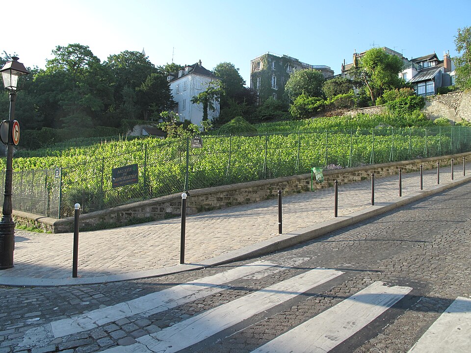 Vigne du Clos Montmartre