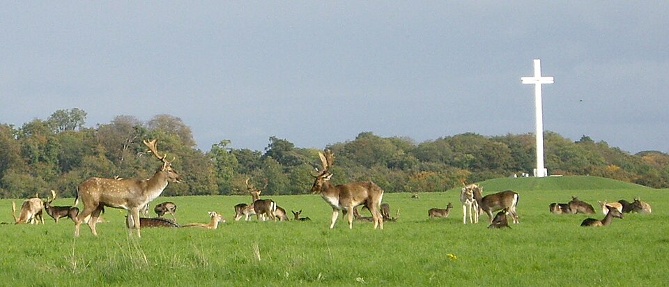 Phoenix Park