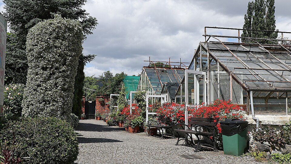Ogród Botaniczny