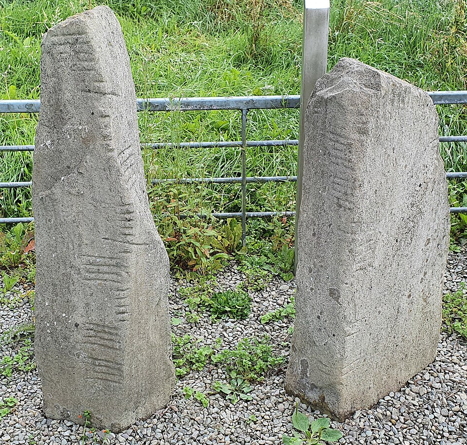 Tullygarran Ogham Stones