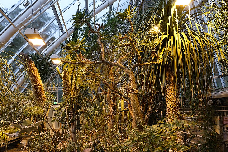 Turun yliopiston kasvitieteellinen puutarha