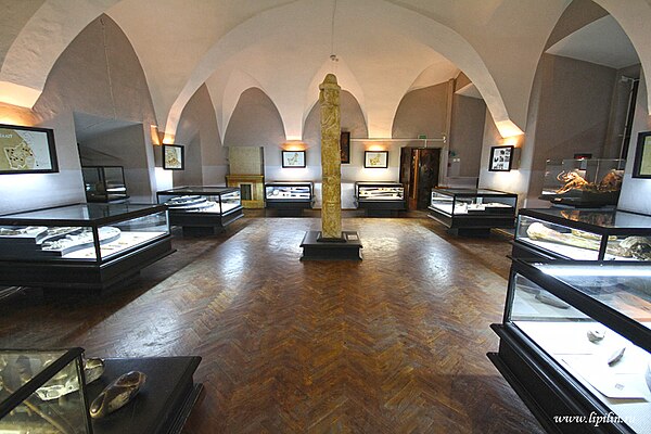 Гродзенскі дзяржаўны гісторыка-археалагічны музей