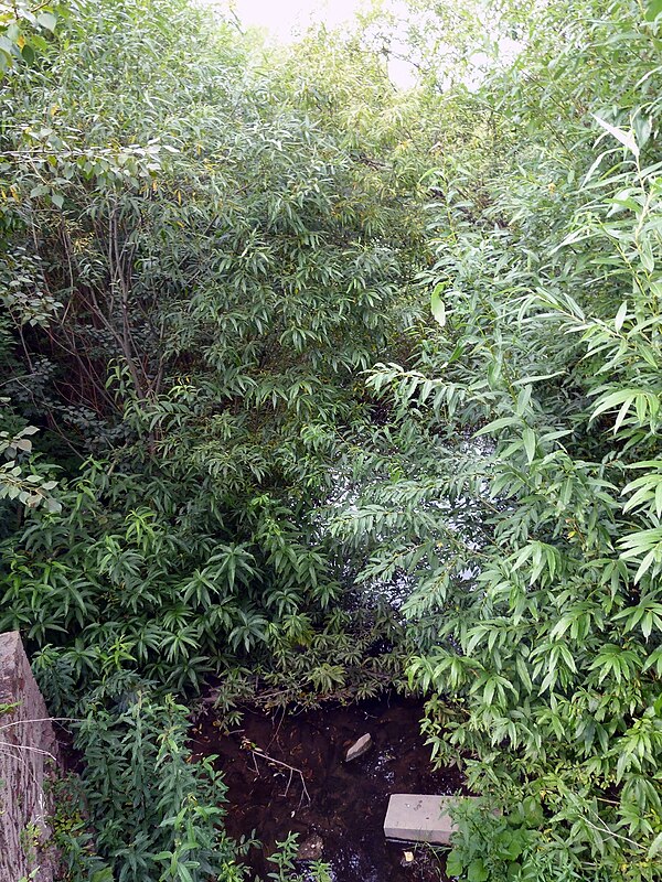 Карлутские городища 4-5 вв. н.э.