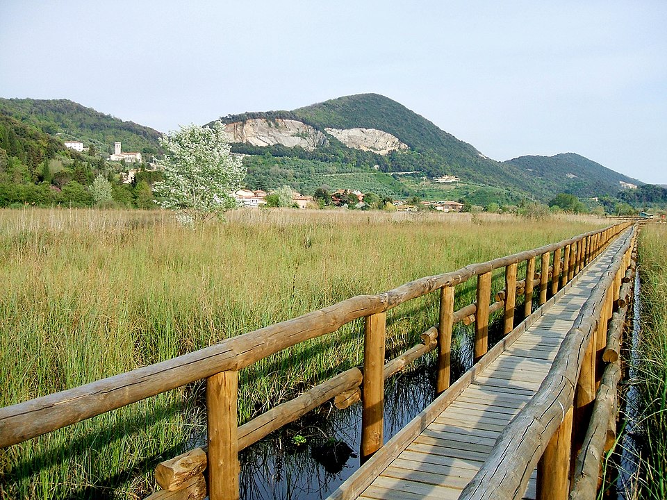 Parco Naturale di Migliarino San Rossore Massaciuccoli
