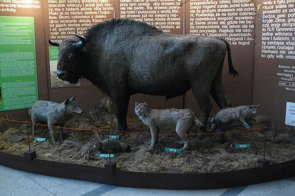 Muzeum Wiedzy o Środowisku