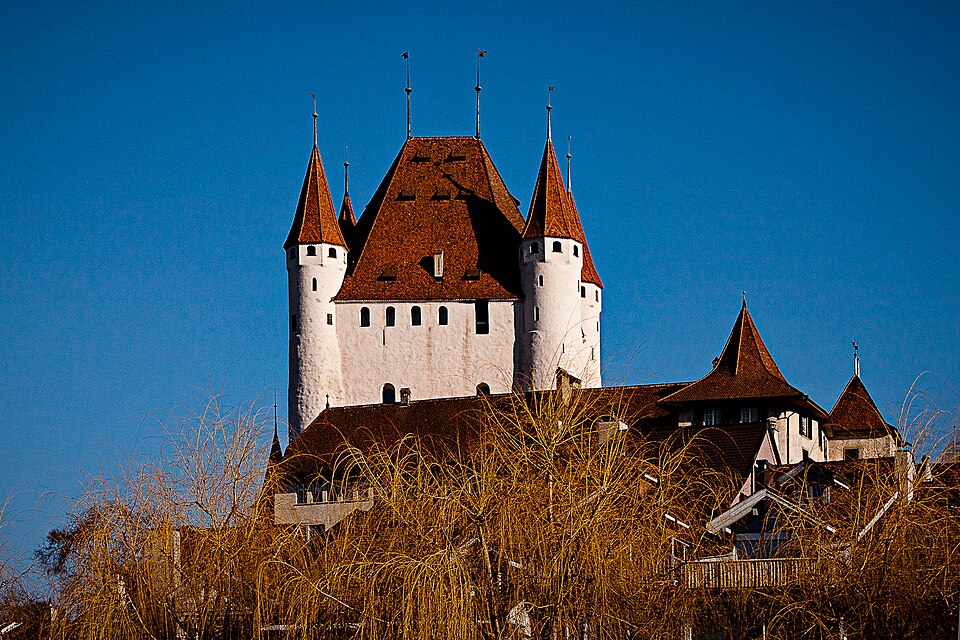Schloss Thun