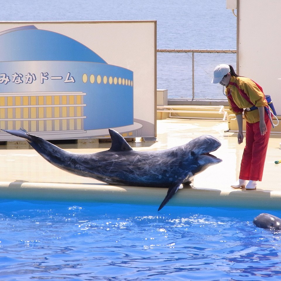 海の中道水族館