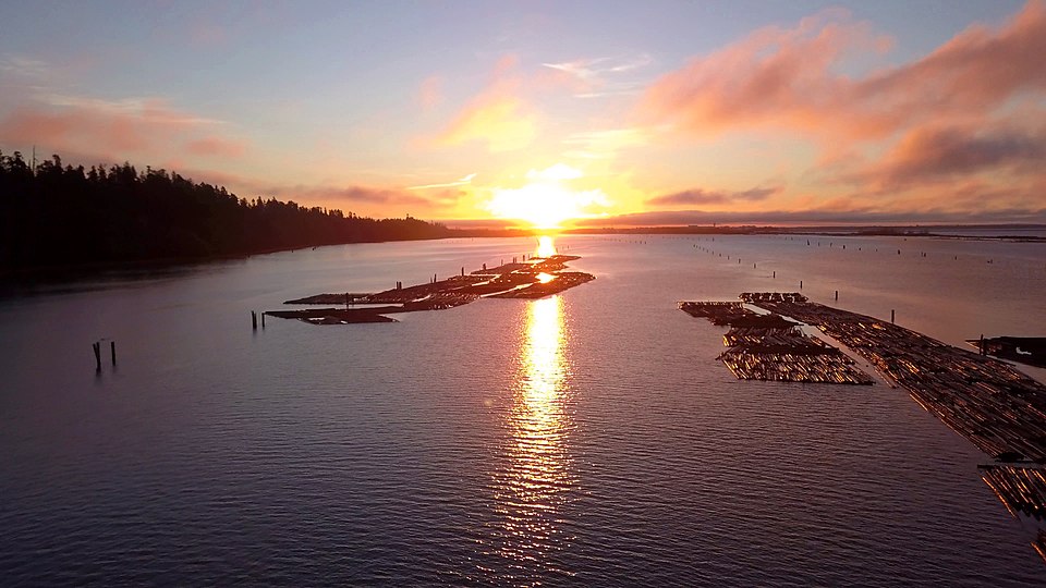 Pacific Spirit Regional Park