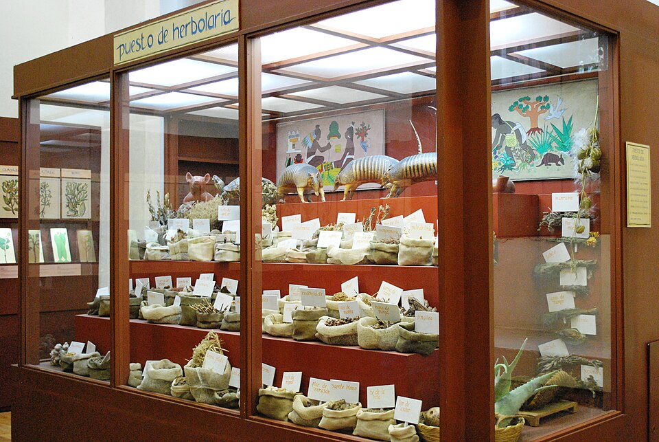 Palacio de la Escuela de Medicina