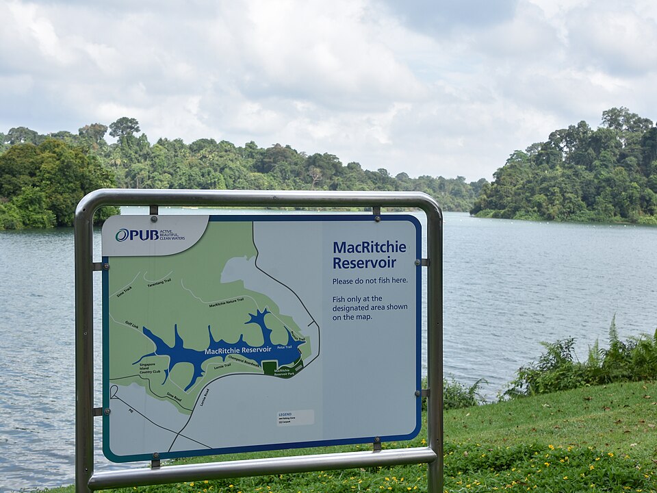 MacRitchie Reservoir