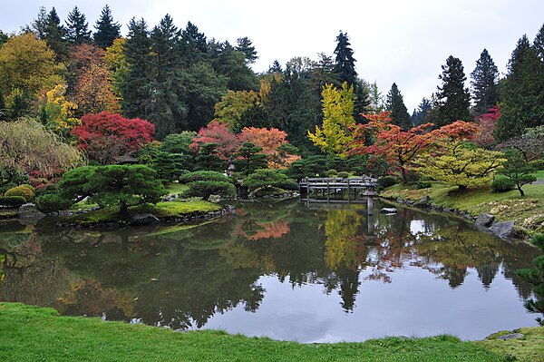 Japanese Garden