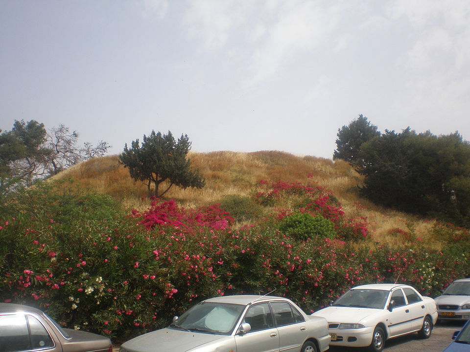 גבעת נפוליאון