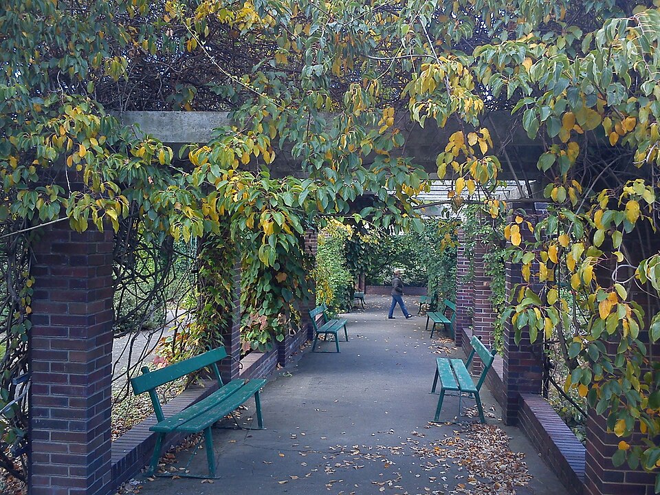 Ogród Botaniczny Uniwersytetu im. Adama Mickiewicza