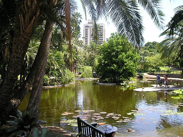 Brisbane City Botanic Gardens