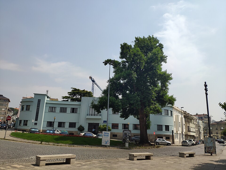 Conjunto arbóreo em Praça Pedro Nunes