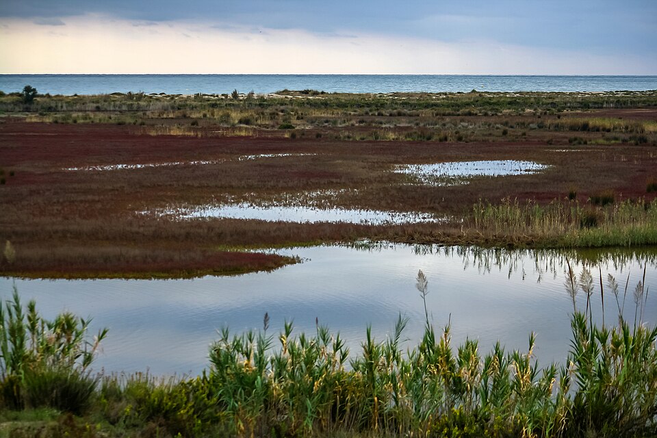 Mirador de la Desembocadura