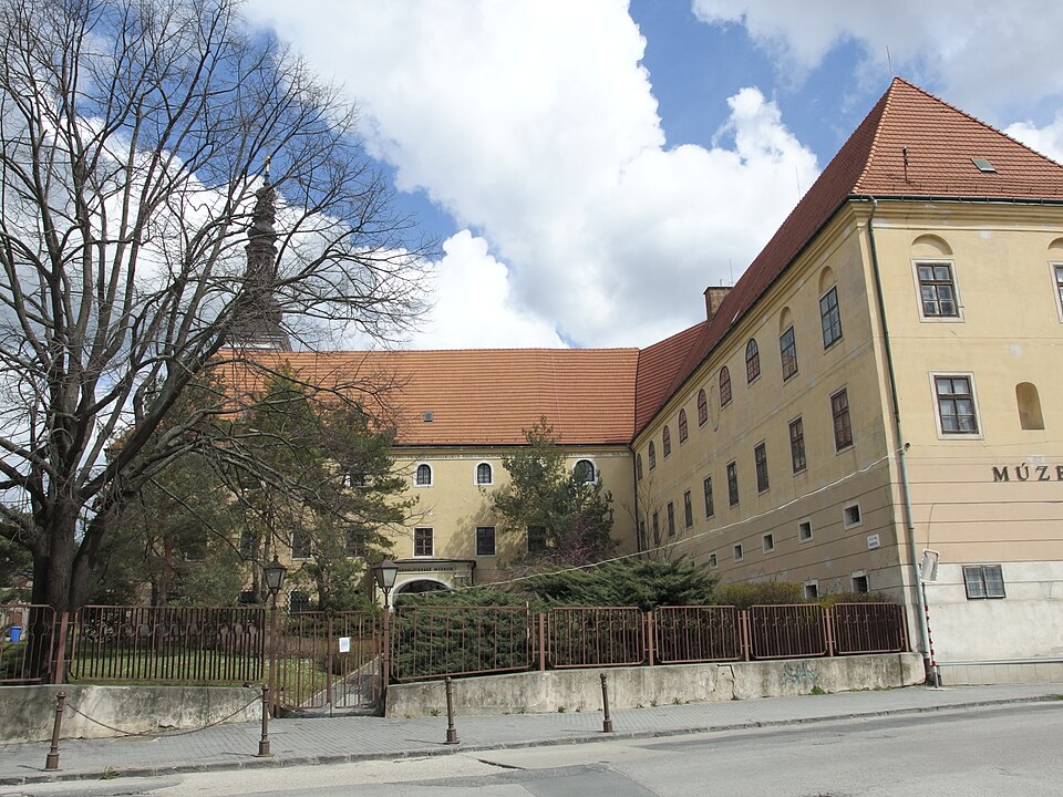 Západoslovenské múzeum