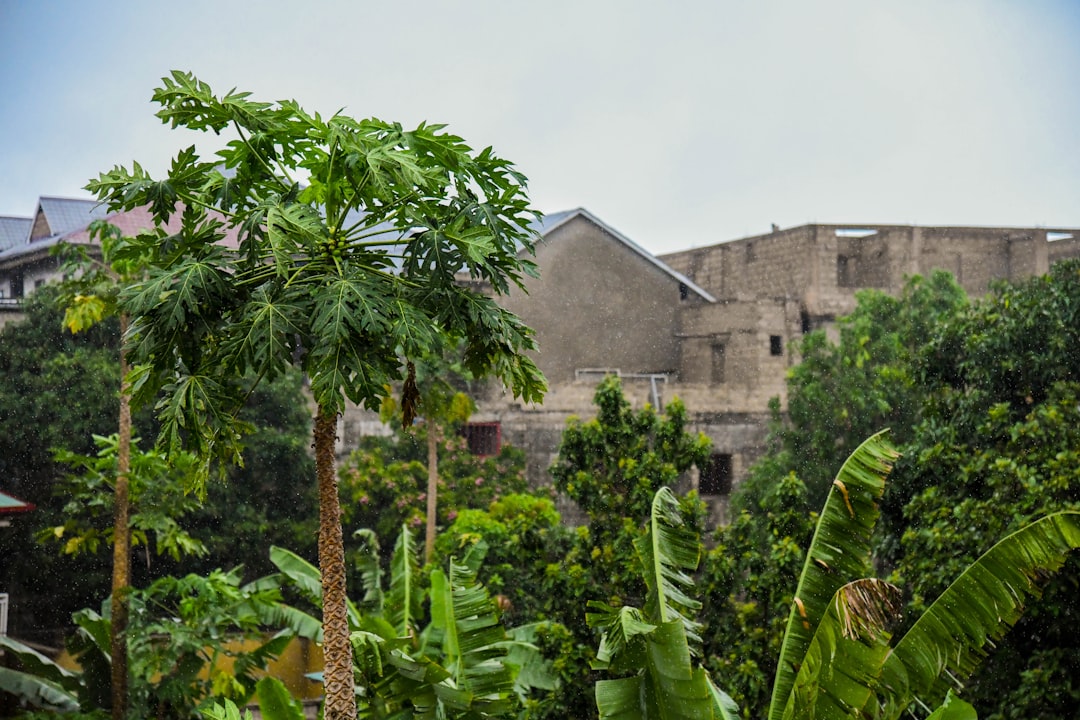 Congo