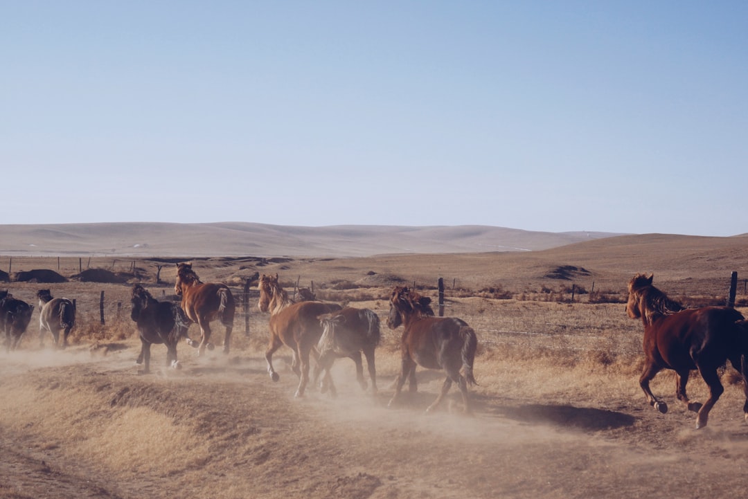 Mongolia