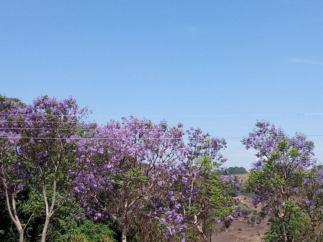 Malawi